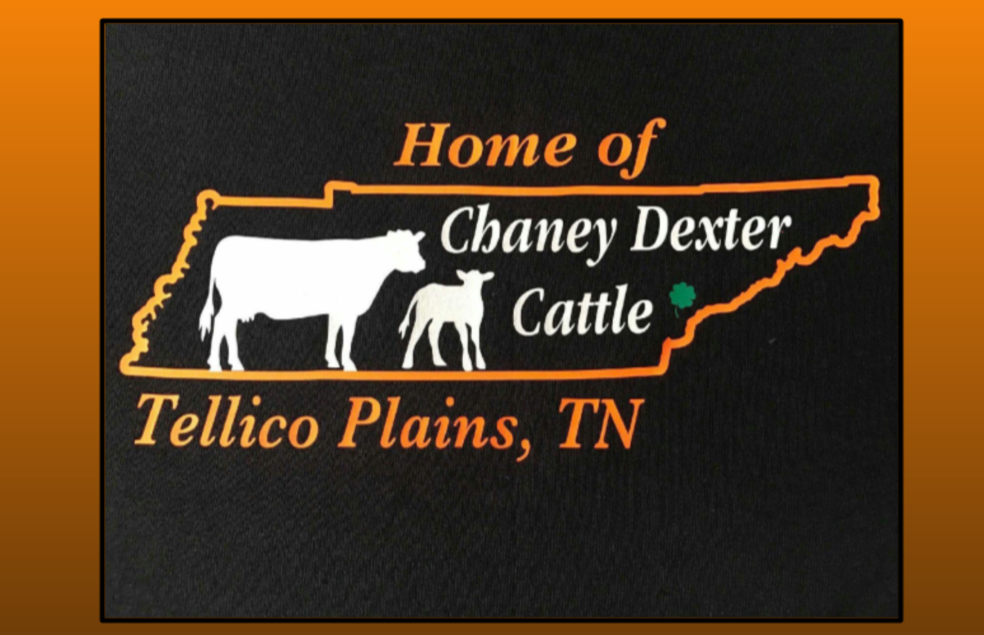 Chaney Registered Dexter Cattle